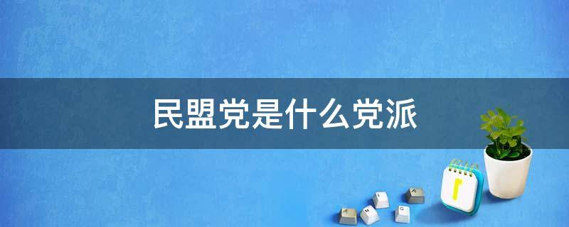 民盟党是什么党派（什么叫民盟党）