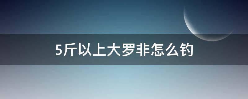 5斤以上大罗非怎么钓（野钓大罗非怎么钓）