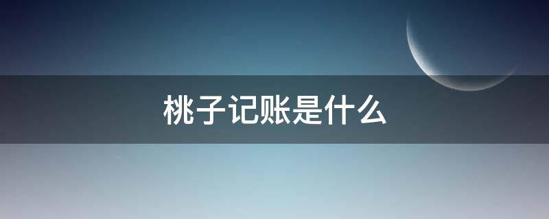 桃子记账是什么（桃子记账全名是啥）