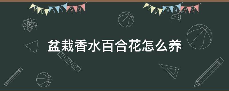 盆栽香水百合花怎么养（香水百合怎么养开花）