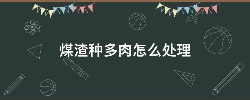 煤渣种多肉怎么处理 煤球渣种多肉怎么处理