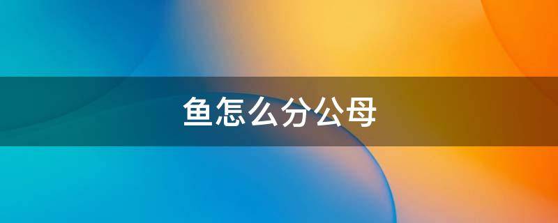 鱼怎么分公母 孔雀鱼怎么分公母