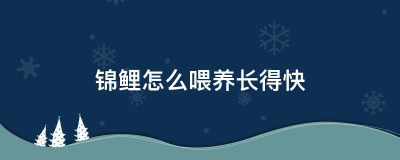 锦鲤怎么喂养长得快 锦鲤怎么喂食才长得快