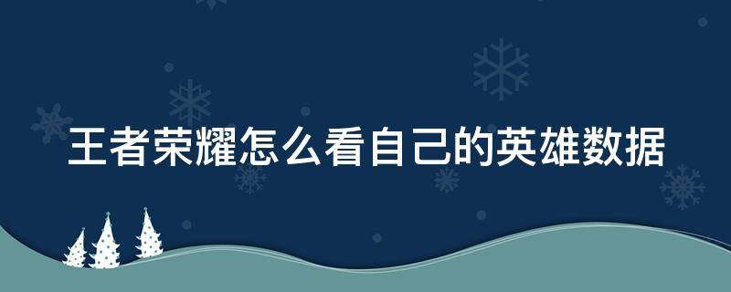 王者荣耀怎么看自己的英雄数据（王者荣耀怎么看英雄具体数据）