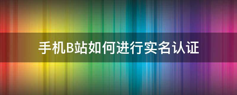 手机B站如何进行实名认证 b站实名认证手机号怎么改