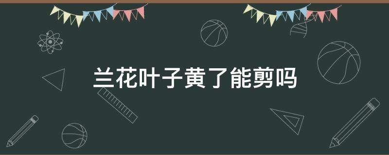 兰花叶子黄了能剪吗 兰花黄叶能剪掉吗