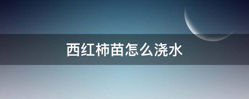 西红柿苗怎么浇水 西红柿苗移栽后怎么浇水