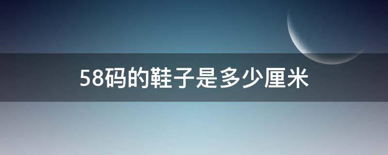 58码的鞋子是多少厘米（58码衣服是多大尺码）