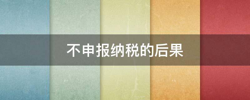 不申报纳税的后果 一般纳税不申报会有什么后果