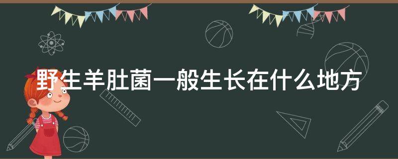 野生羊肚菌一般生长在什么地方（野生羊肚菌一般生长在哪里）