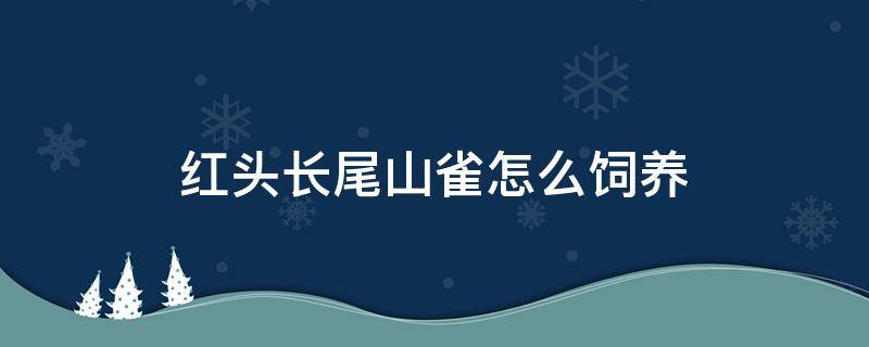 红头长尾山雀怎么饲养（红头长尾山雀筑巢繁殖）