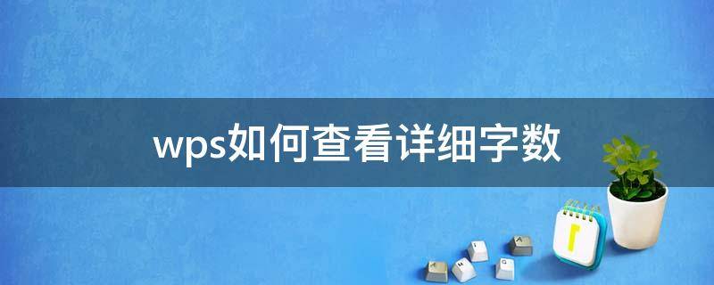 wps如何查看详细字数 如何查看wps的字数