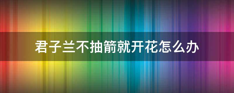 君子兰不抽箭就开花怎么办 君子兰没抽箭就开花后怎么办