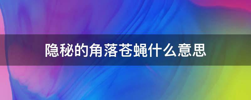 隐秘的角落苍蝇什么意思（隐秘的角落苍蝇掉碗里意味着什么）