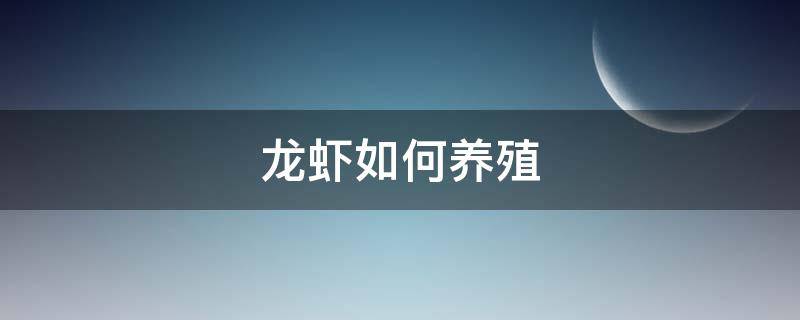 龙虾如何养殖 如何养殖小龙虾