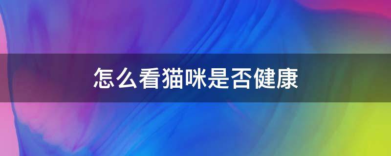 怎么看猫咪是否健康 如何看出猫咪是否健康