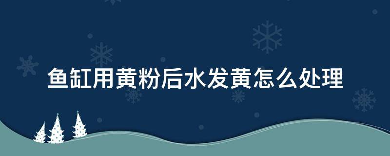 鱼缸用黄粉后水发黄怎么处理 鱼缸下黄粉怎么去除黄水