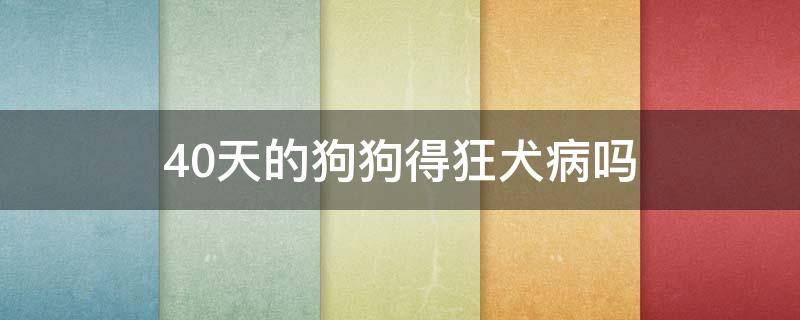 40天的狗狗得狂犬病吗 40天幼犬有狂犬病么