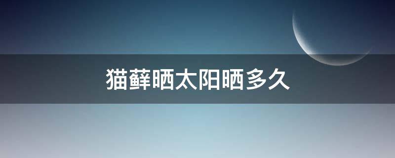 猫藓晒太阳晒多久 猫藓晒太阳晒多久合适xian