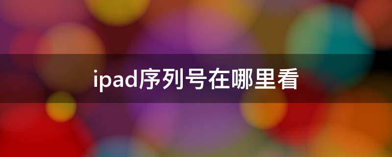 ipad序列号在哪里看（ipad序列号在哪查看）