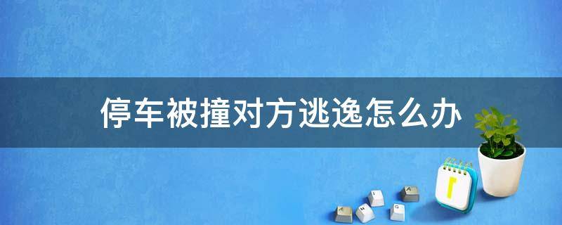 停车被撞对方逃逸怎么办 停车撞车后逃逸怎么处理