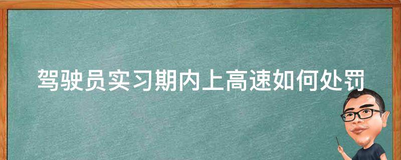 驾驶员实习期内上高速如何处罚