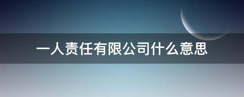 一人责任有限公司什么意思 什么叫做一人有限责任公司