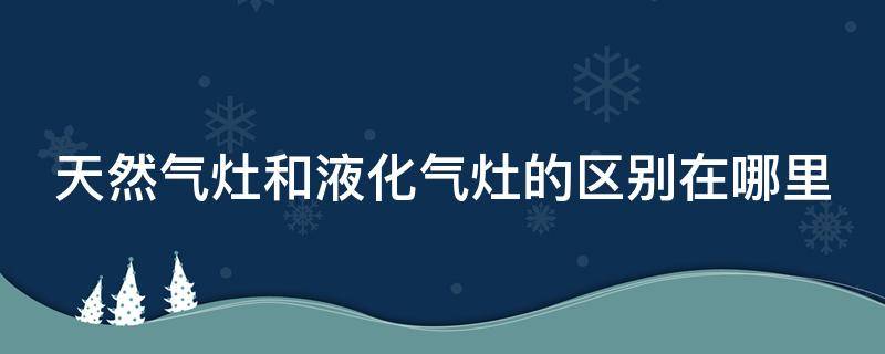 天然气灶和液化气灶的区别在哪里 天然气灶与液化气灶的区别在哪?可通用吗?