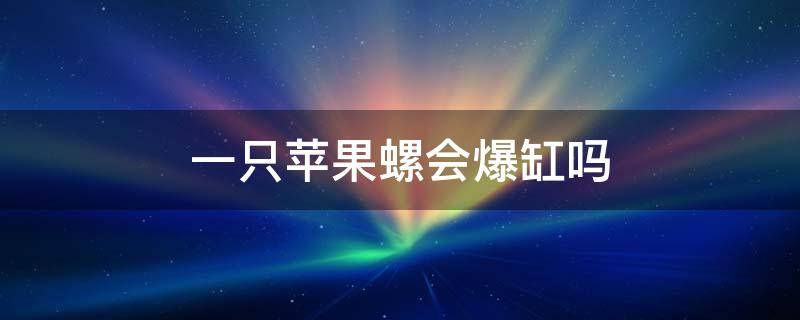 一只苹果螺会爆缸吗（苹果螺爆缸会导致鱼死）