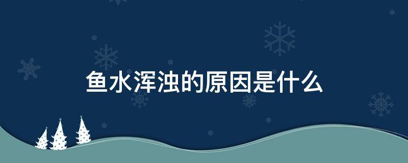 鱼水浑浊的原因是什么 鱼的水很浑浊