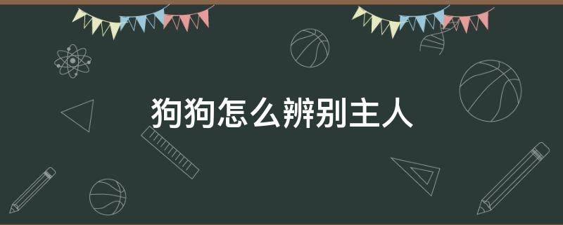 狗狗怎么辨别主人 狗狗怎么辨别主人的朋友