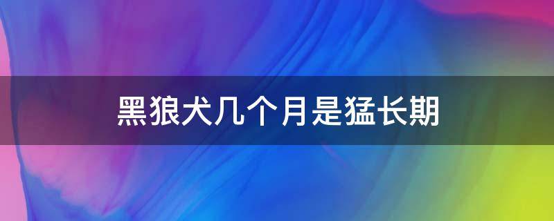 黑狼犬几个月是猛长期 黑狼犬几个月开始猛长