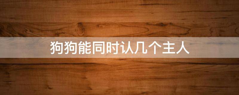 狗狗能同时认几个主人（一家人里狗狗会同时认几个主人）