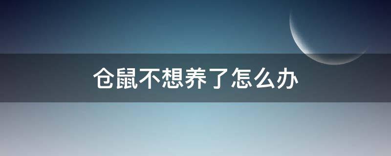 仓鼠不想养了怎么办 买的仓鼠不想养了怎么办