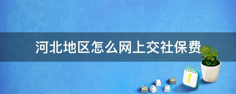 河北地区怎么网上交社保费 河北人社怎么缴费