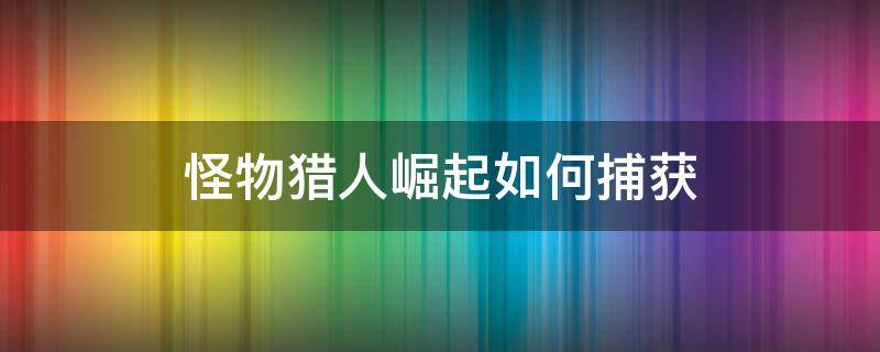 怪物猎人崛起如何捕获（怪物猎人崛起如何捕获火龙）