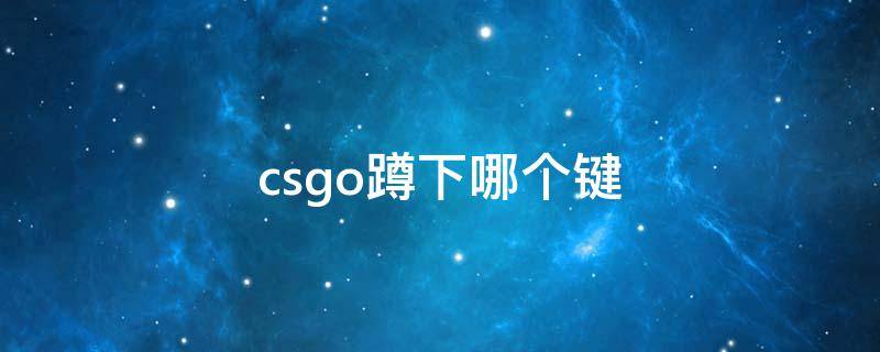 csgo蹲下哪个键（csgo里面怎么蹲下）