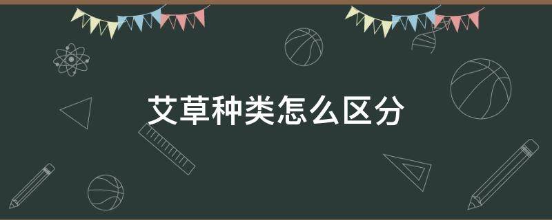 艾草种类怎么区分 艾草不同种类