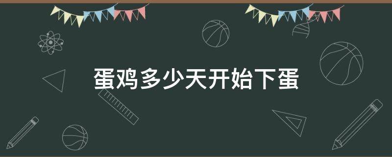 蛋鸡多少天开始下蛋（蛋鸡多长时间开始下蛋）