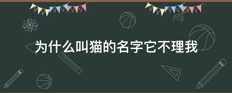 为什么叫猫的名字它不理我（喊猫的名字猫不理你）