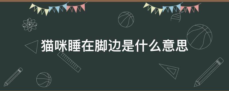 猫咪睡在脚边是什么意思 猫咪睡在主人脚边是什么意思