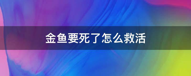 金鱼要死了怎么救活