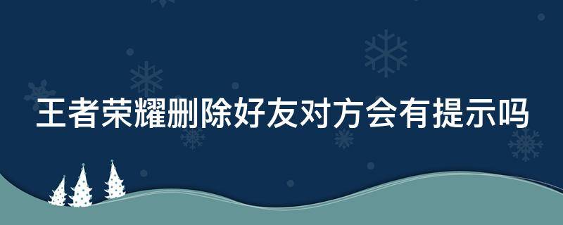 王者荣耀删除好友对方会有提示吗（王者删除好友,对方会有提示吗）