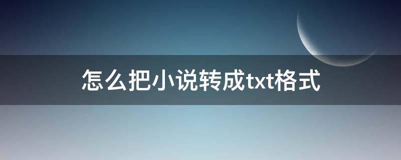 怎么把小说转成txt格式（怎么把小说转成txt格式手机）