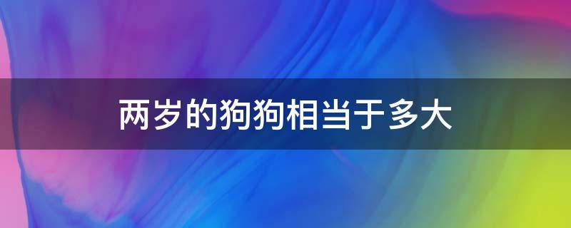 两岁的狗狗相当于多大（两岁的狗狗相当于多大的儿童）