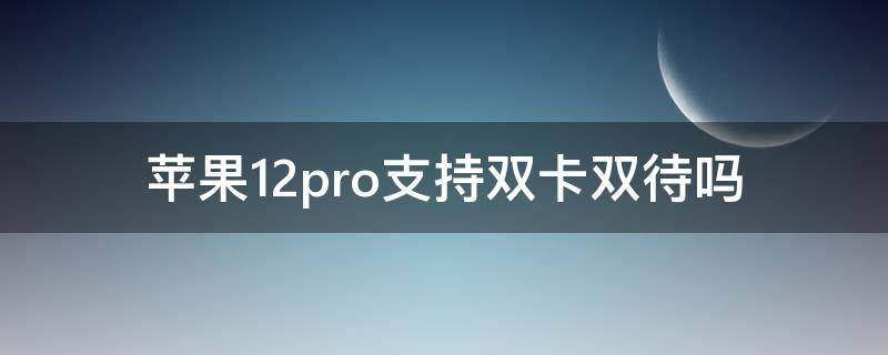 苹果12pro支持双卡双待吗 苹果12Pro是不是双卡双待