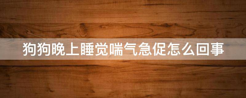 狗狗晚上睡觉喘气急促怎么回事（狗狗晚上睡觉一直喘气是为什么?）