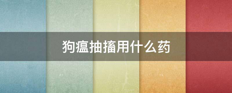 狗瘟抽搐用什么药 狗狗犬瘟抽搐该如何治疗