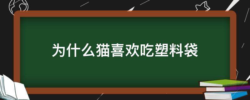 为什么猫喜欢吃塑料袋 为什么猫咪喜欢吃塑料袋