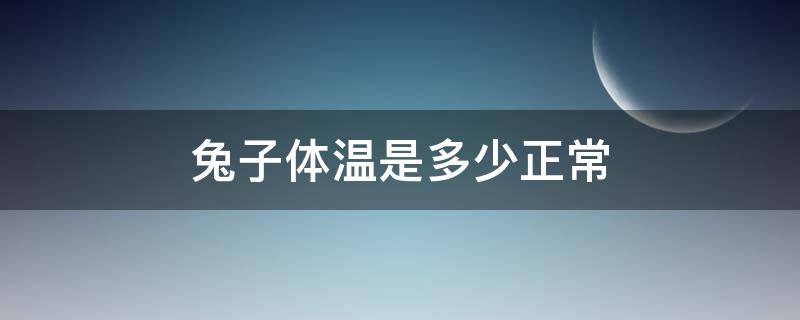 兔子体温是多少正常 家兔的正常体温是多少